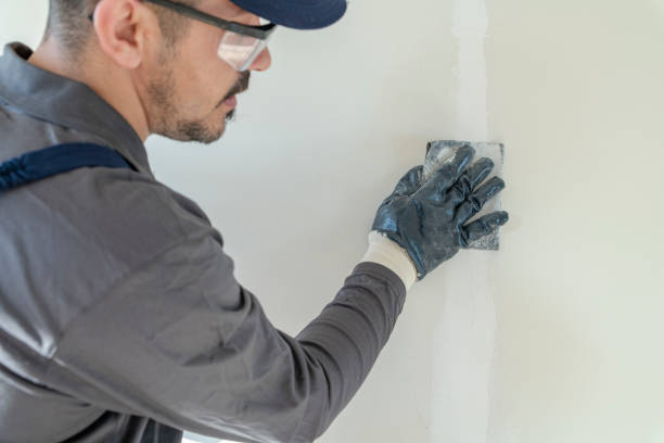 Best Industrial Mold Remediation  in Eatonville, WA